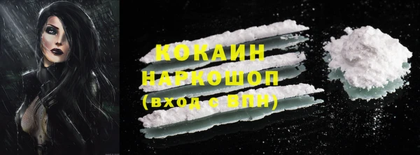 apvp Вяземский