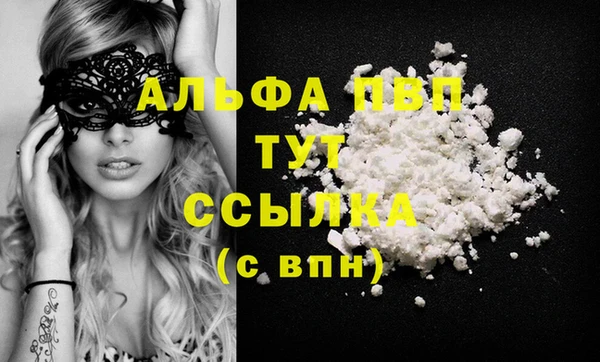 apvp Вяземский