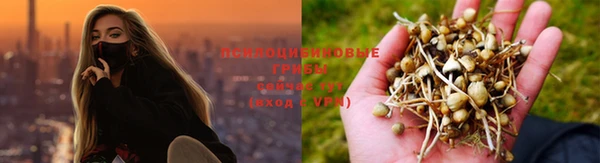 apvp Вяземский