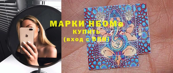 apvp Вяземский