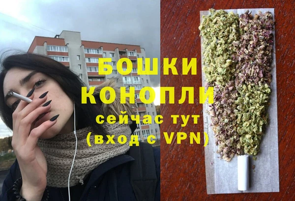 индика Вязники