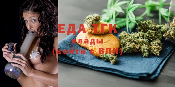 индика Вязники