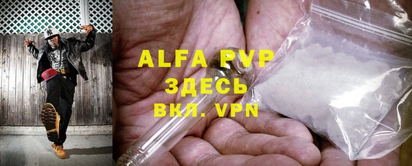 индика Вязники