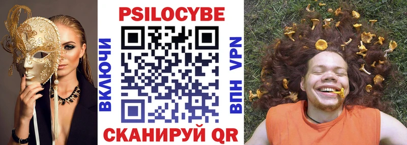 Купить закладки Волчанск Галлюциногенные грибы Psilocybe